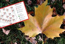 Pogoda na wrzesień. Długoterminowa prognoza IMGW