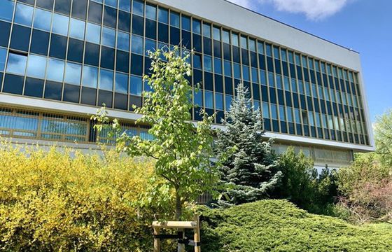 Rośnie liczba wydawanych książek. "Efekt Tokarczuk"