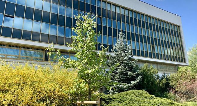 Rośnie liczba wydawanych książek. "Efekt Tokarczuk"