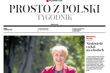 grafika