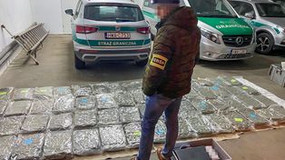 Narkotyki ukryte w ciężarówce ze szparagami. CBŚP rozbiło grupę, zatrzymano 42 osoby