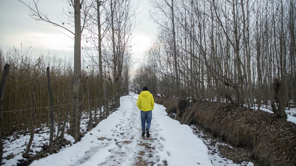 A Kashmiri man walks along a snow-covered path on a cold
GANDERBAL, KASHMIR, INDIA - 2025/01/01: A Kashmiri man walks along a snow-covered path on a cold winter day in Ganderbal, about 20km from capital city Srinagar. The Himaliyan Kashmir is experiencing a cold wave, with the Meteorological Department predicting snowfall and rain over the next few days. Travelers and residents are advised to prepare for sub-freezing temperatures, icy roads, and potential heavy snow in higher reaches. (Photo by Faisal Bashir/SOPA Images/LightRocket via Getty Images)
SOPA Images
cold
