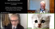 Prawnik dołączył do rozprawy online. Zapomniał wyłączyć filtru zamieniającego go w kota
