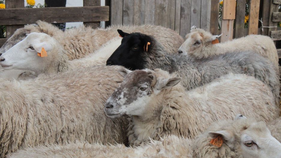 Zdjęcie ilustracyjne