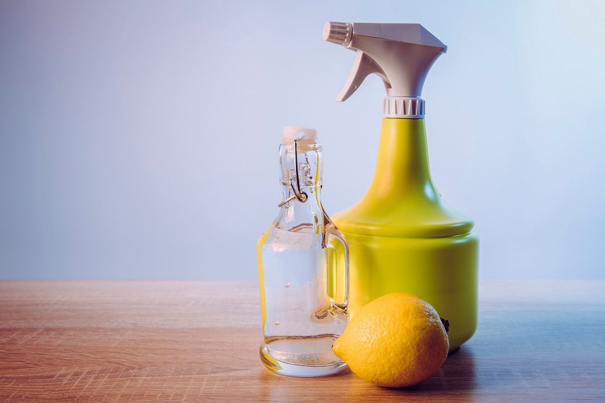 I pour vinegar over the lemon remnants. Finally, I stopped wasting money.