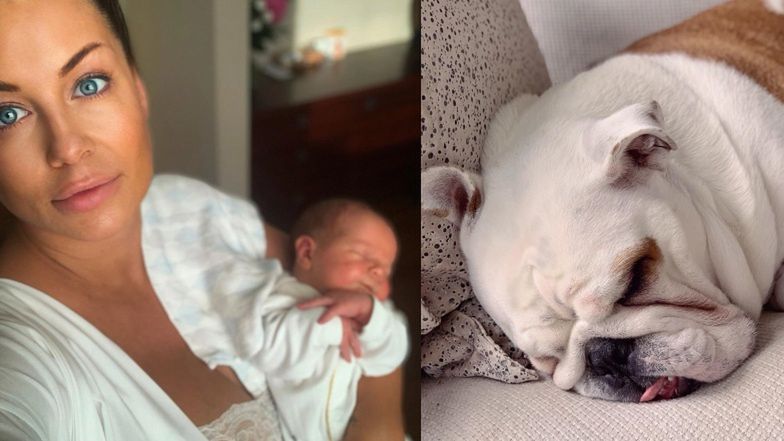 Małgorzata Rozenek opowiada o reakcji George'a na pojawienie się Henryka