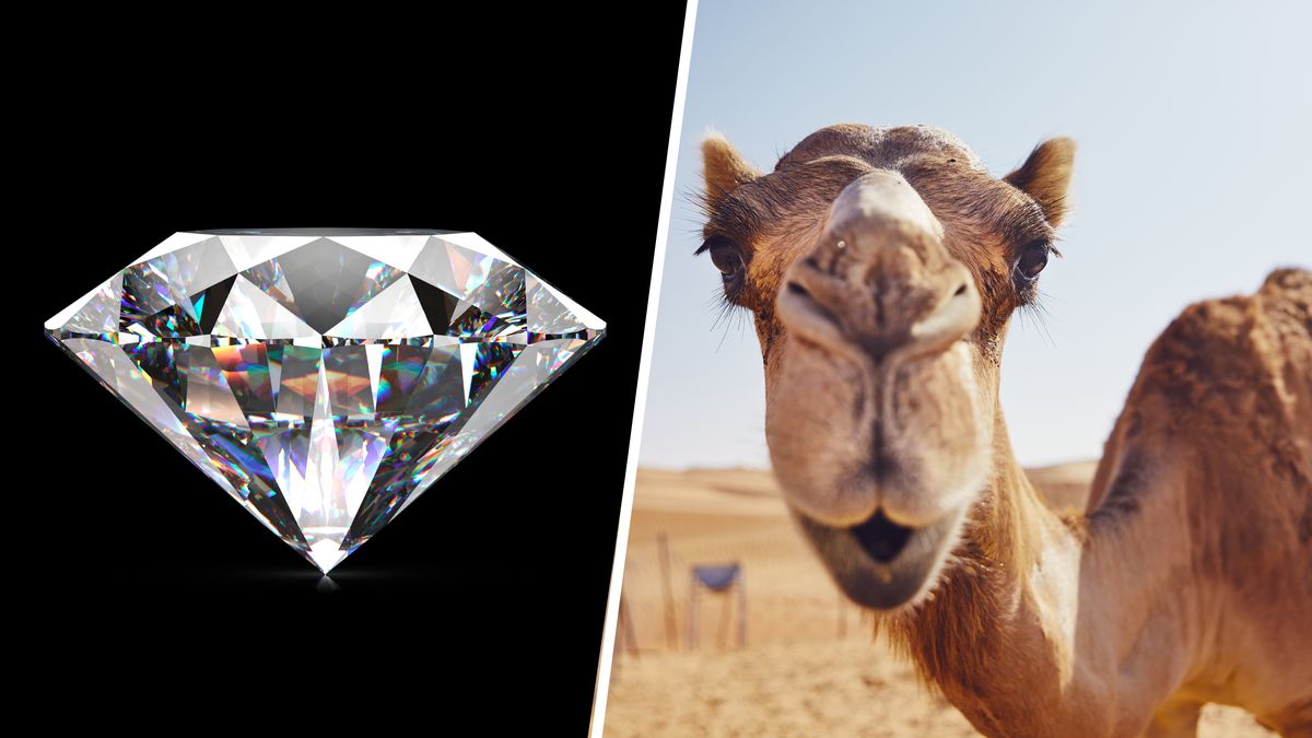 Pewne "fakty", których nas uczono, są już dziś nieaktualne