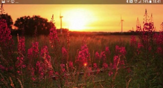 Wspierająca zdrowy sen polska aplikacja Nightly z 2,3 milionami dolarów finansowania. „Pieniądze na testy kliniczne”