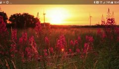 Wspierająca zdrowy sen polska aplikacja Nightly z 2,3 milionami dolarów finansowania. „Pieniądze na testy kliniczne”