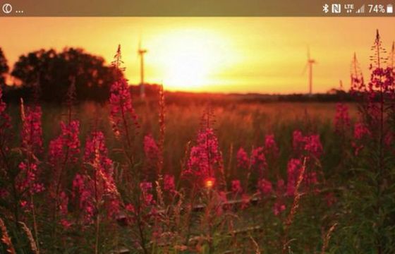 Wspierająca zdrowy sen polska aplikacja Nightly z 2,3 milionami dolarów finansowania. „Pieniądze na testy kliniczne”