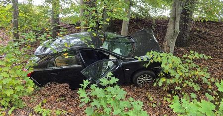 Dziemiany: 81-letni kierowca stracił panowanie nad mitsubishi i uderzył w drzewo. Pomocy udzielili żołnierze z wojskowego ambulansu