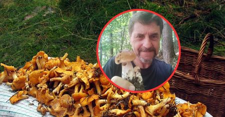 Takie okazy już teraz rosną na Śląsku. Grzybiarze zacierają ręce