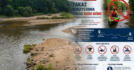 Bóbr zamknięty dla ludzi i zwierząt. 15 ton martwych ryb