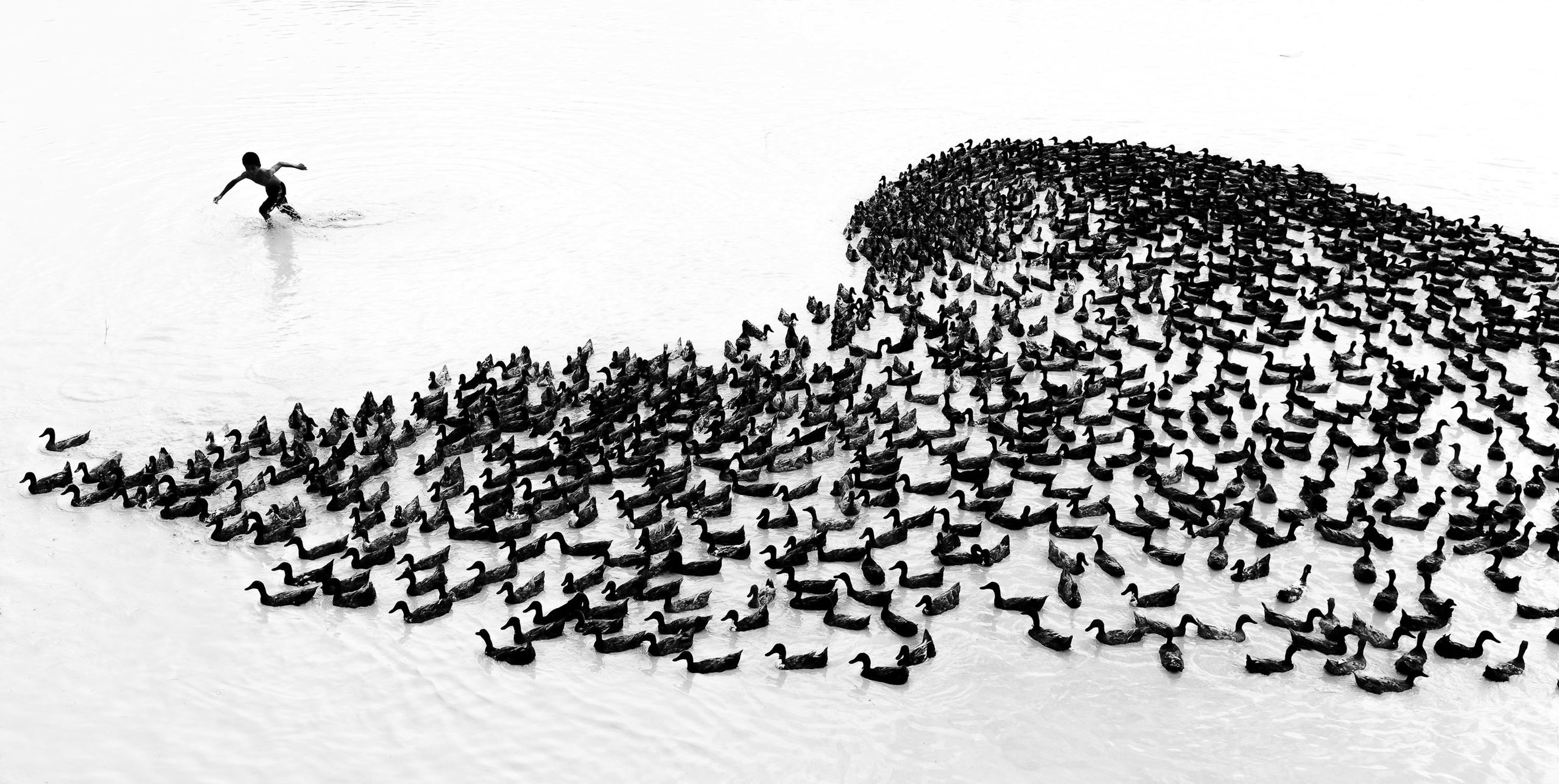Piotr Leczkowski zwycięzcą polskiej edycji National Awards w Sony World Photography Awards 2019 95