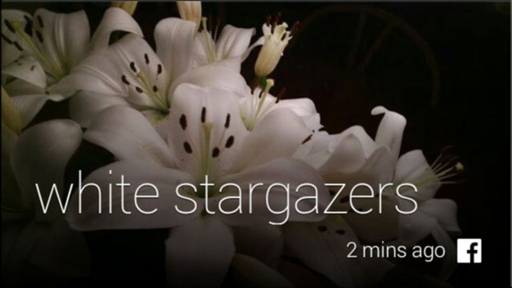 Korzystanie z Facebooka i Twittera lepsze z Google Glass, niż na smartfonie? 2