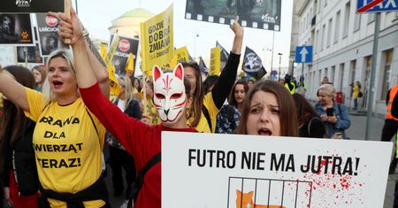 Warszawa. Wielki Marsz dla zwierząt. Protest przed Sejmem