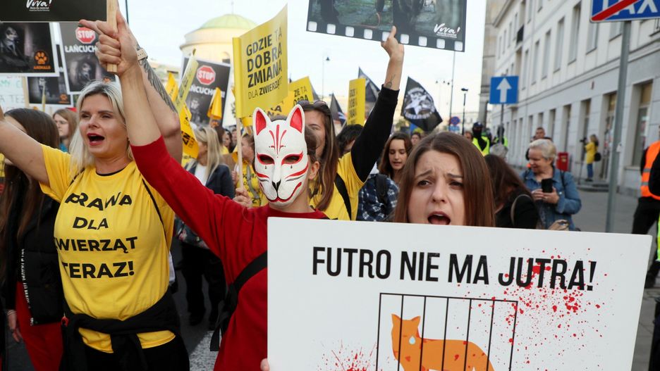 Wielki Marsz dla Zwierz?tFot. Piotr Molecki/East News, Warszawa, 04.10.2021. Wielki Marsz dla Zwierzat przeszedl z ulicami Warszawy. Marsz z okazji Swiatowego Dnia Zwierzat zorgananizowaly: Koalicja dla Zwierzat ??" Fundacja Miedzynarodowy Ruch Na Rzecz Zwierzat Viva!, Otwarte Klatki, OTOZ Animals, Fundacja na Rzecz Ochrony Praw Zwierzat Mondo Cane.Piotr Molecki