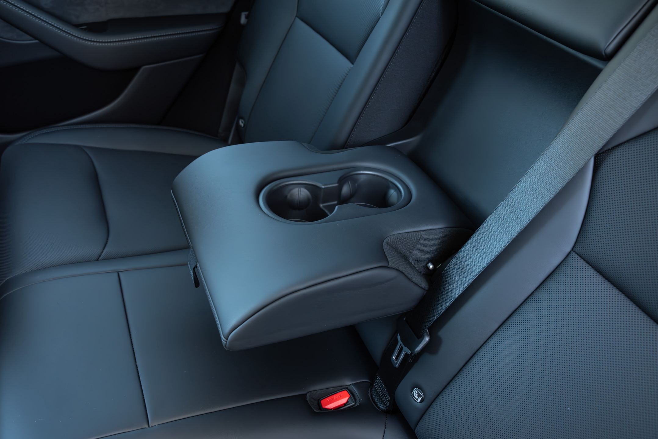Tesla Model Y Juniper