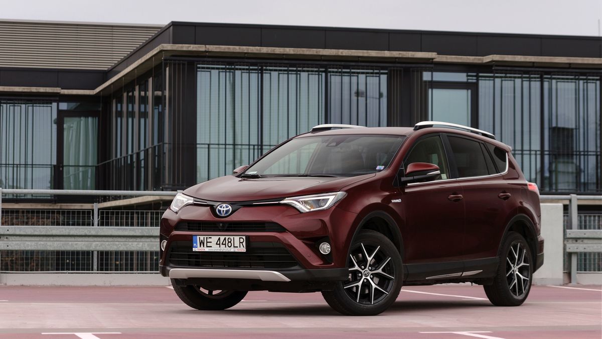 Zdjęcie ilustracyjne do artykułu