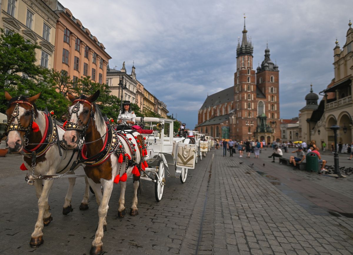 Краків (Photo by Artur Widak/NurPhoto via Getty Images)