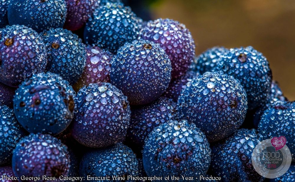 Smakowite kadry konkursu kulinarnego Pink Lady Food Photographer of the Year 2018 65