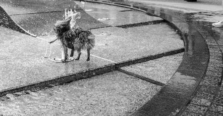 Zaczynasz uprawiać fotografię uliczną? Te rady mogą ci się przydać