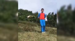 Oko w oko z bestią. Niedźwiedź za 12-latkiem