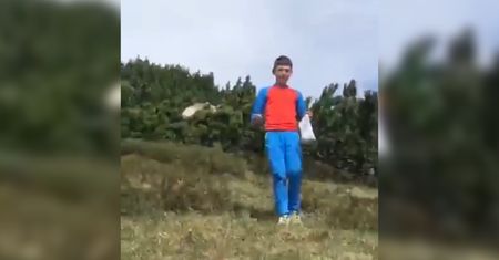 Oko w oko z bestią. Niedźwiedź za 12-latkiem