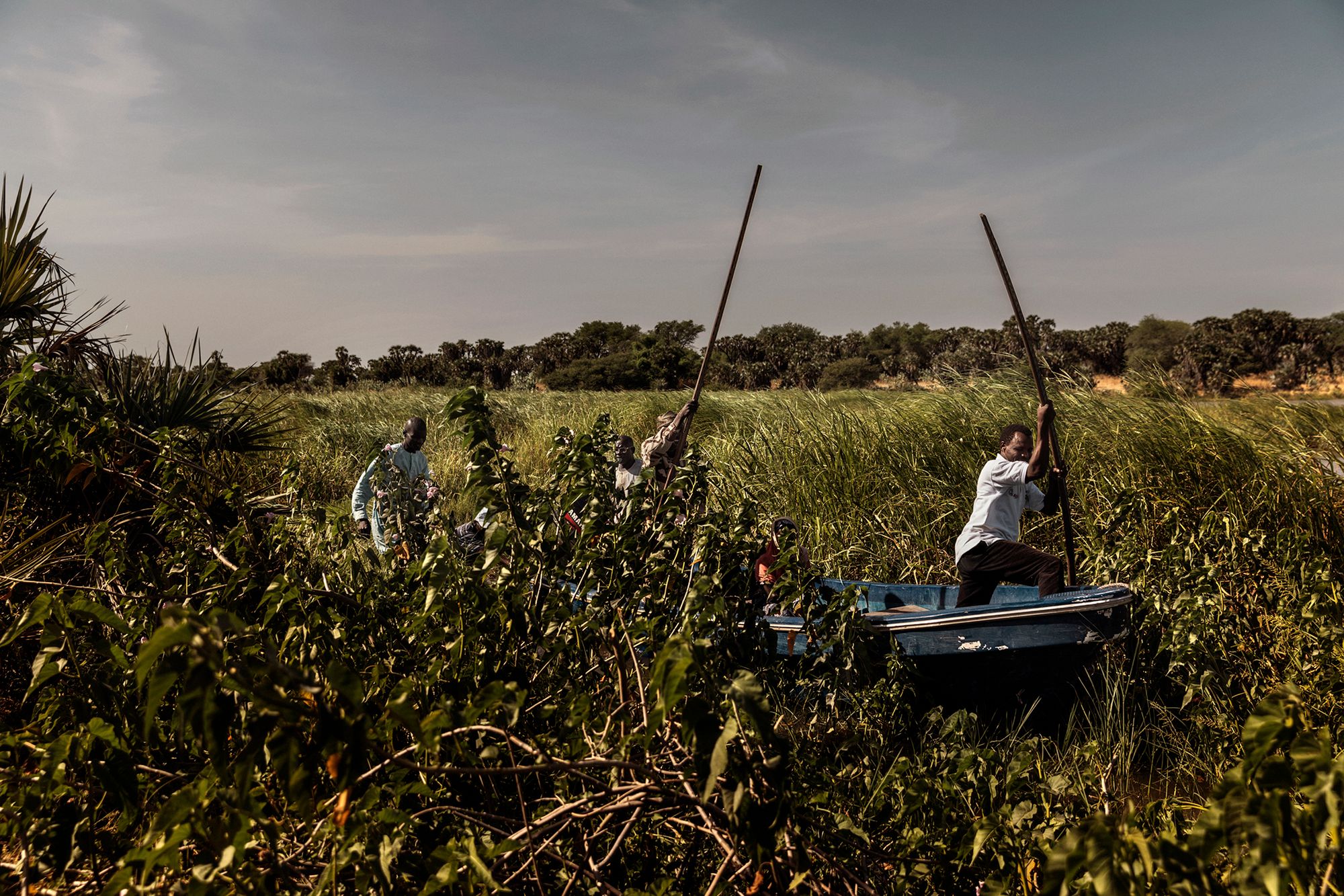 World Press Photo 2019 – znamy nominowanych fotografów 3