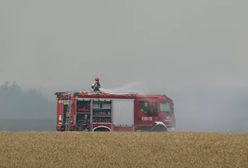 Pożar zboża na pniu. Dym nad drogą