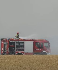 Pożar zboża na pniu. Dym nad drogą