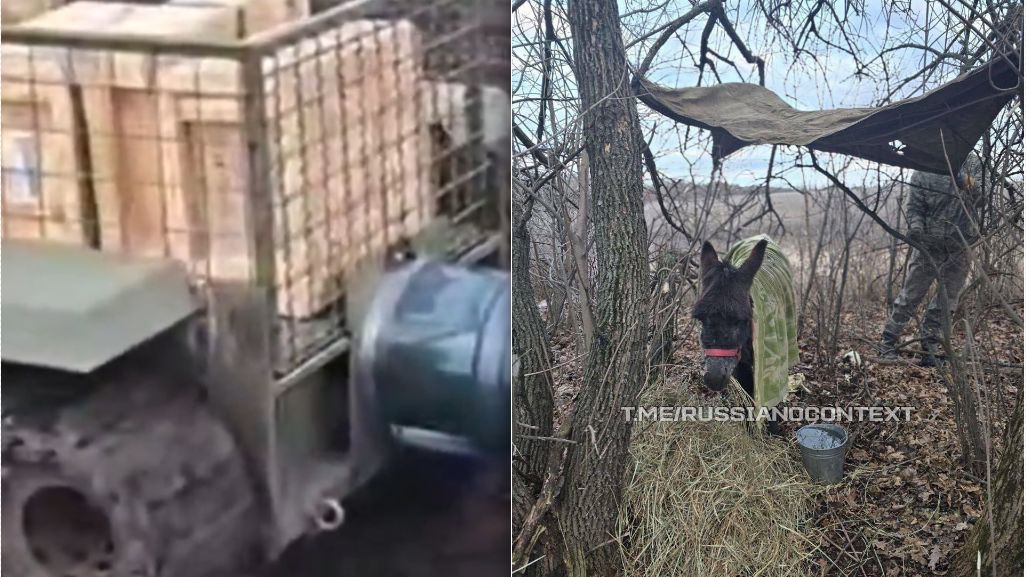 Ukraiński robot logistyczny vs rosyjski osioł frontowy. 