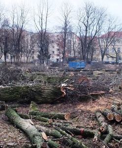 Sprzeciw wobec masakry drzew w Ogrodzie Krasińskich