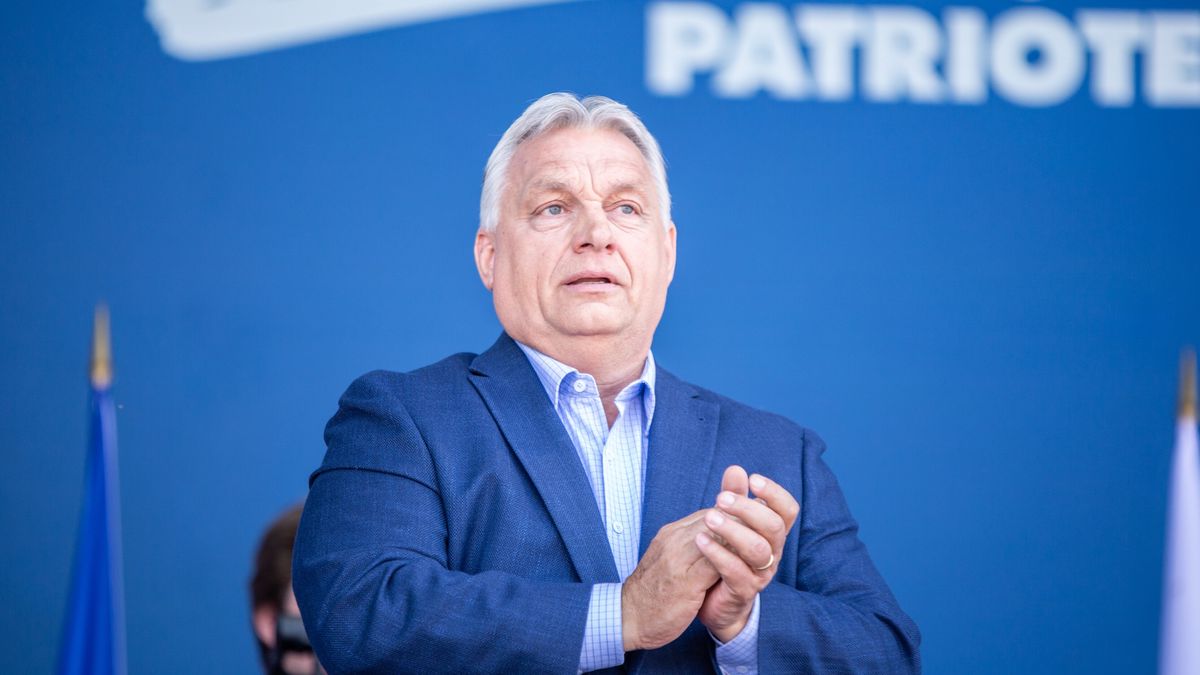 Viktor Orban, Prime Minister of Hungary and President of Fidesz, attends the Victory Day rally organized by the European nationalist and far-right political party Patriotes.eu in Mormant-sur-Vernisson, France, 09 June 2025. EPA/SADAK SOUICI Dostawca: PAP/EPA.