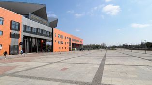 Szczecin: Netto Arena będzie "odbetonowana". Pierwsze drzewa zostaną posadzone już w przyszłym tygodniu