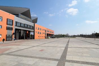 Szczecin: Netto Arena będzie "odbetonowana". Pierwsze drzewa zostaną posadzone już w przyszłym tygodniu