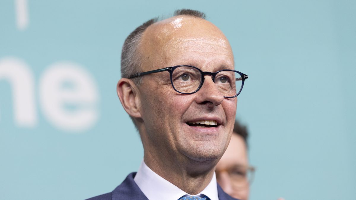 Szukają sobowtóra Friedrich Merz