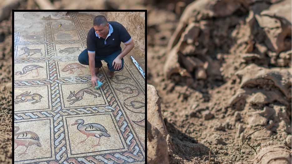 Palestyński rolnik odnalazł mozaikę z czasów Bizancjum