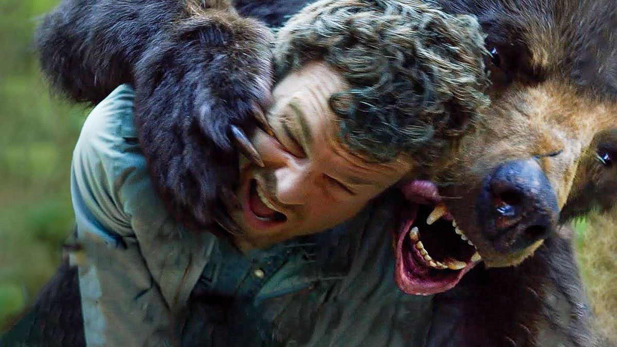 "Kokainowy miś" w akcji