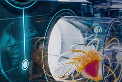 Wrocław. Hydropolis nie zostanie otwarte