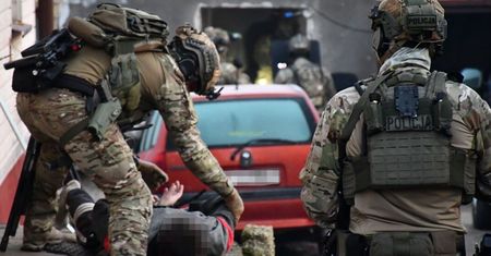 Podkarpackie: Ponad pół kilograma narkotyków i areszt dla 33-latka