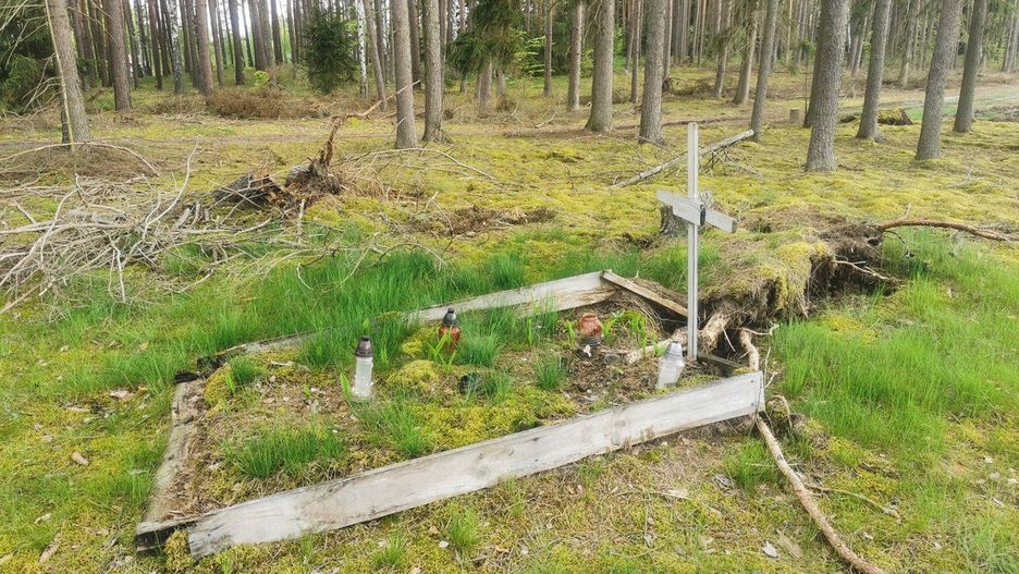 Masowy grób w pobliżu Niekurska 