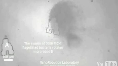 Bakteryjnie zasilane nanoroboty (wideo) 1
