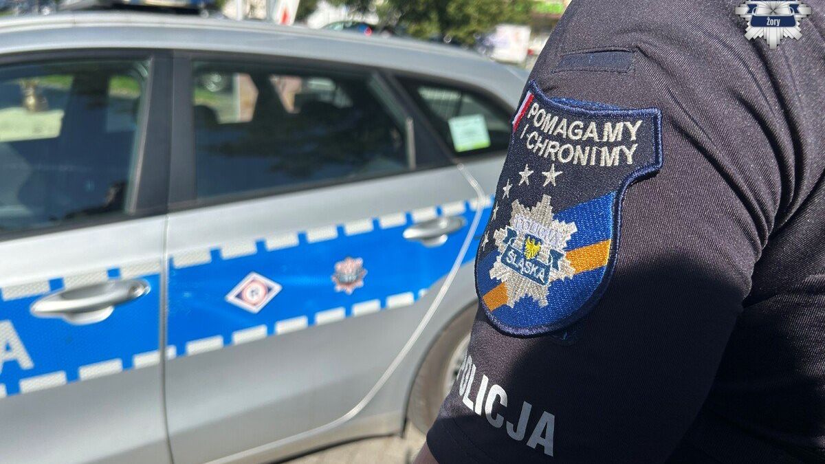 policja