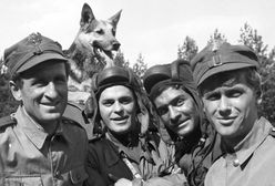 Sensacyjne odkrycie. "Czterej pancerni i pies" w niezwykłej wersji