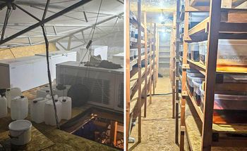 Akcja CBŚP. Zlikwidowano kolejne laboratoria narkotyków syntetycznych