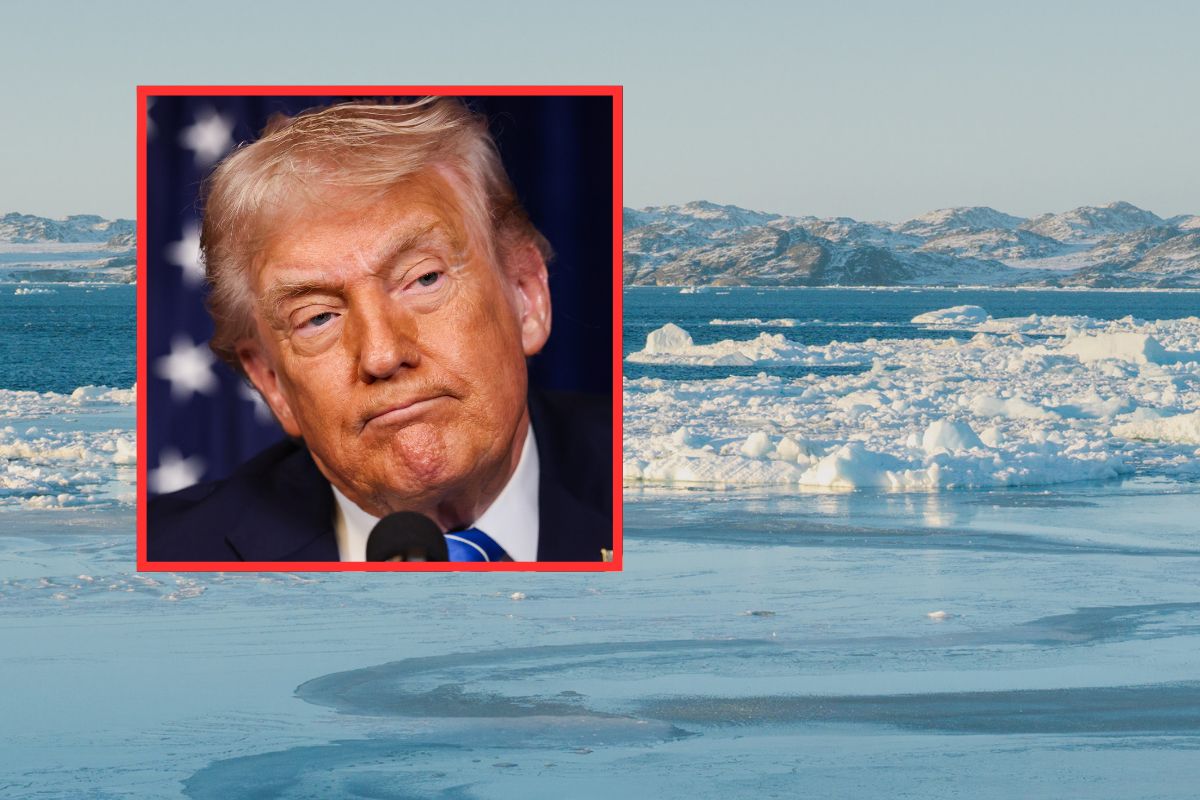 To naprawdę myślą Grenlandczycy o słowach Trumpa. Mieszkańcy zabrali głos