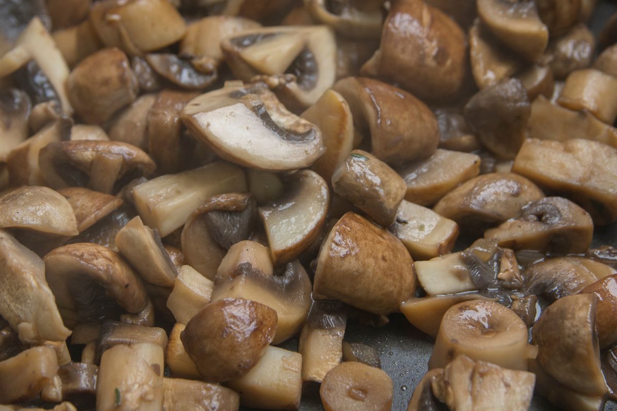 Portobello mushrooms gain popularity as a  culinary staple