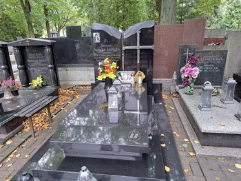Łódź: Wyjątkowa nekropolia przy ul. Ogrodowej