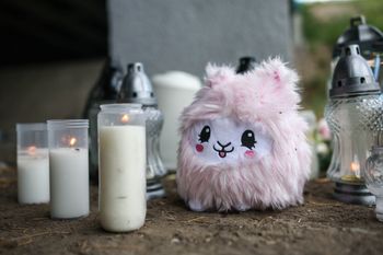 "Odwracamy uwagę od winowajców". Krakowianie wściekli po wypadku na Podgórzu
